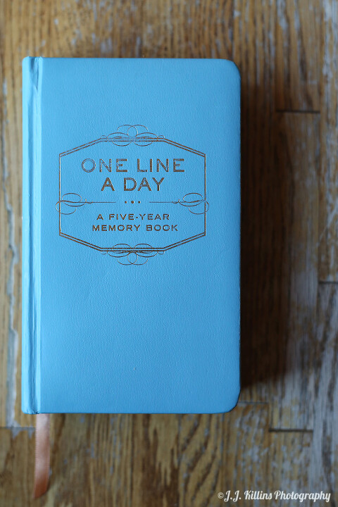 one line a day journal