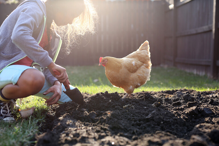 life{unscripted} top ten