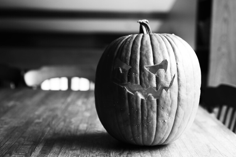 carved pumpkin minnesota