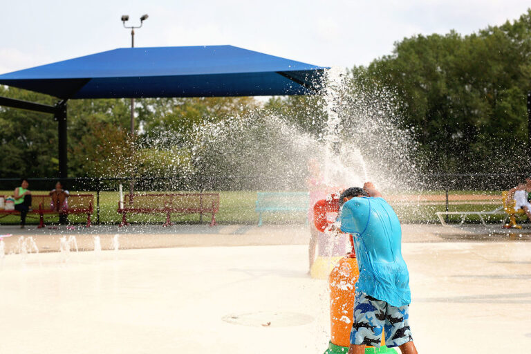 summer family photography
